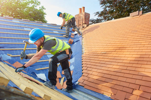 Best Skylight Installation and Repair  in Plainview, NE